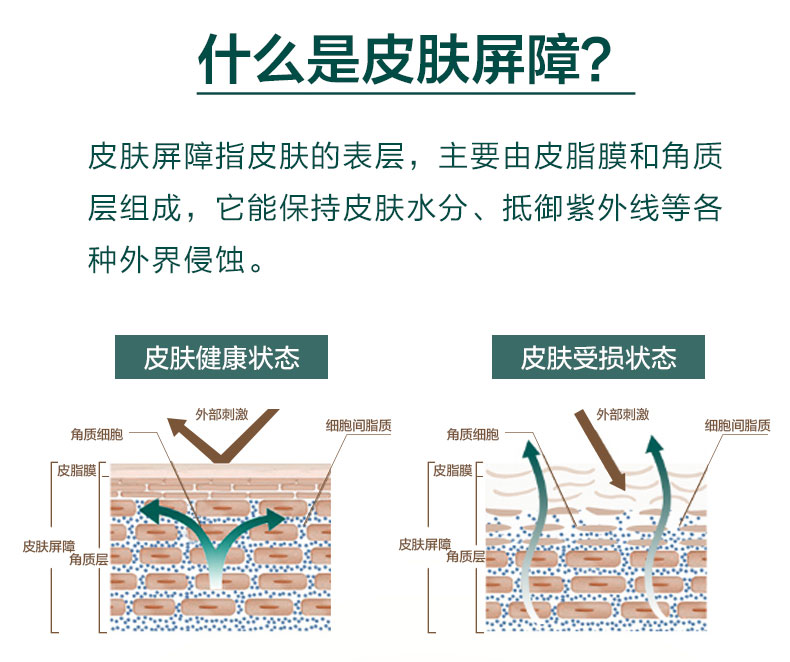 山茶花润肤油商详_02.jpg